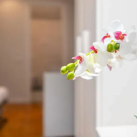 Апартаменты Classy Milanese Near Sforza Castle Милан